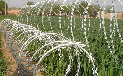 單螺旋刀片刺繩