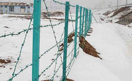 刺繩護(hù)欄網(wǎng)