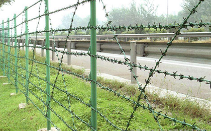 刺繩護(hù)欄網(wǎng)