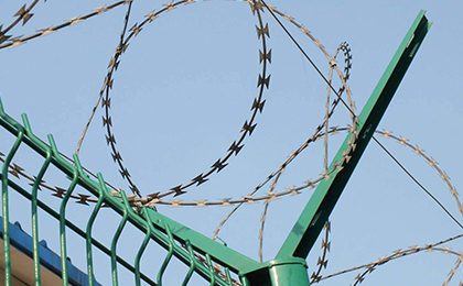 刀片刺網(wǎng) 刀片刺網(wǎng)